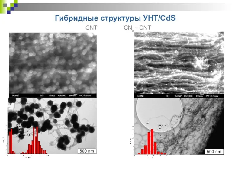 Гибридные структуры УНТ/CdS CNT CNx - CNT