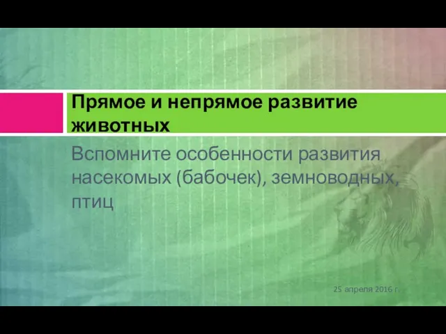 Вспомните особенности развития насекомых (бабочек), земноводных, птиц Прямое и непрямое развитие животных 25 апреля 2016 г.