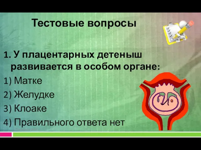 1. У плацентарных детеныш развивается в особом органе: 1) Матке