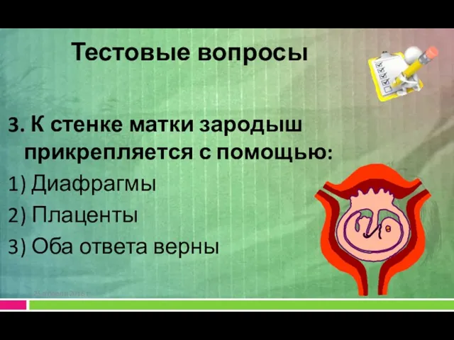 3. К стенке матки зародыш прикрепляется с помощью: 1) Диафрагмы