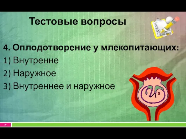 4. Оплодотворение у млекопитающих: 1) Внутренне 2) Наружное 3) Внутреннее и наружное Тестовые вопросы