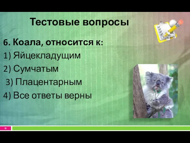 6. Коала, относится к: 1) Яйцекладущим 2) Сумчатым 3) Плацентарным 4) Все ответы верны Тестовые вопросы