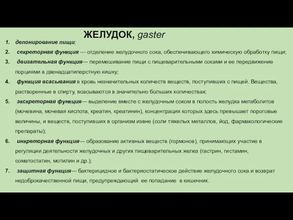 ЖЕЛУДОК, gaster депонирование пищи; секреторная функция — отделение желудочного сока, обеспечивающего химическую обработку