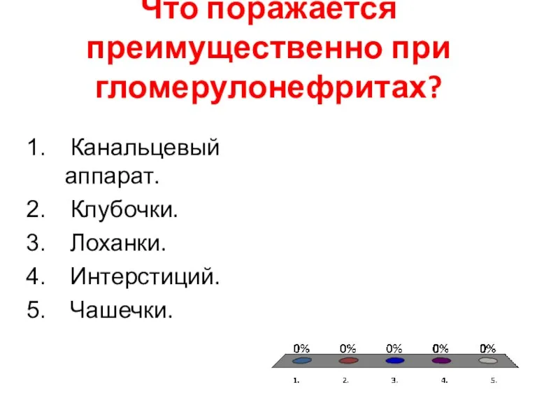 Что поражается преимущественно при гломерулонефритах? Канальцевый аппарат. Клубочки. Лоханки. Интерстиций. Чашечки.