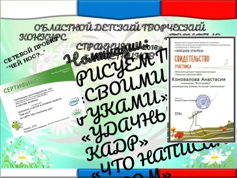 ОБЛАСТНОЙ ДЕТСКИЙ ТВОРЧЕСКИЙ КОНКУРС «ПЕРНАТЫЕ СТРАННИКИ - 2016» 7 УЧАСТНИКОВ Номинации: «РИСУЕМ ПТИЦ»