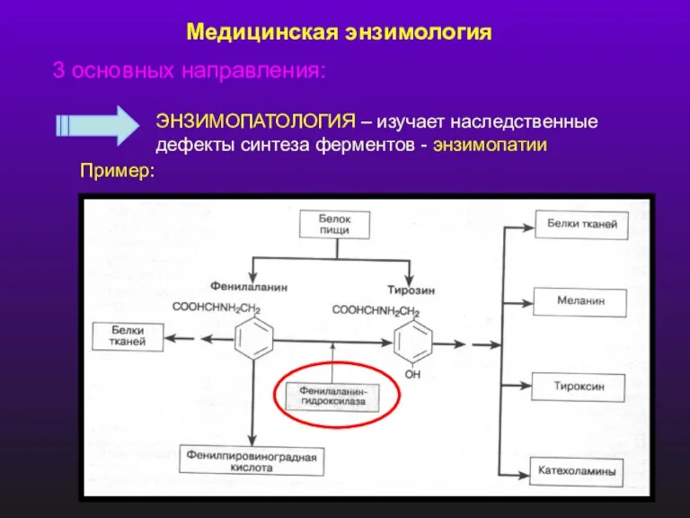 Медицинская энзимология 3 основных направления: ЭНЗИМОПАТОЛОГИЯ – изучает наследственные дефекты синтеза ферментов - энзимопатии Пример: