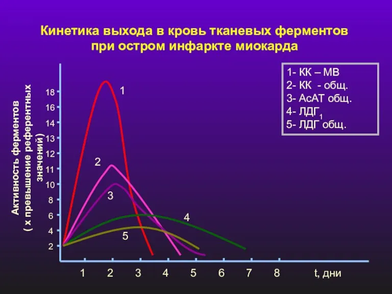 Кинетика выхода в кровь тканевых ферментов при остром инфаркте миокарда