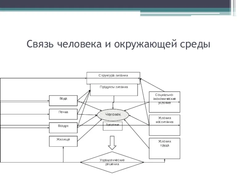 Связь человека и окружающей среды