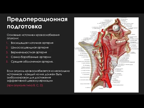 Предоперационная подготовка Основные источники кровоснабжения опухоли: Восходящая глоточная артерия Шилососцевидная