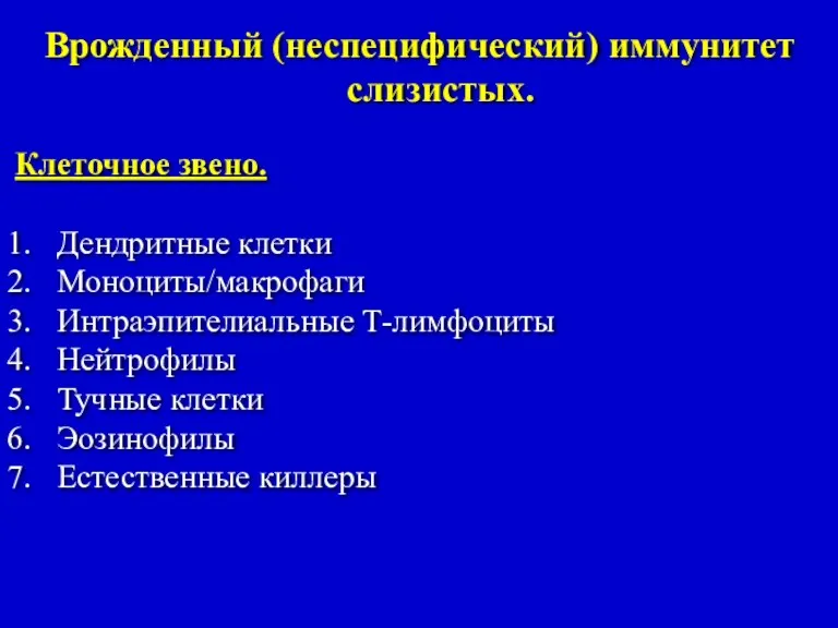 Врожденный (неспецифический) иммунитет слизистых. Клеточное звено. Дендритные клетки Моноциты/макрофаги Интраэпителиальные