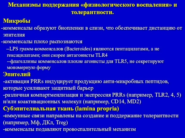 Механизмы поддержания «физиологического воспаления» и толерантности. Микробы комменсалы образуют биопленки