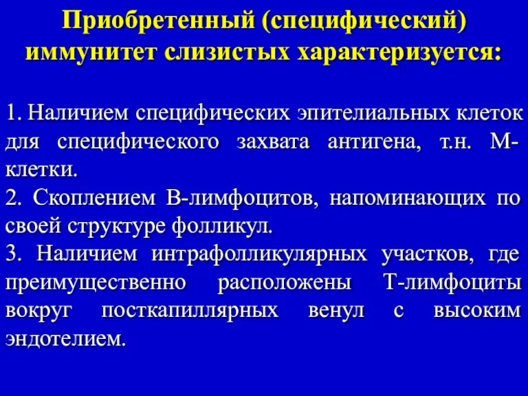 Приобретенный (специфический) иммунитет слизистых характеризуется: 1. Наличием специфических эпителиальных клеток