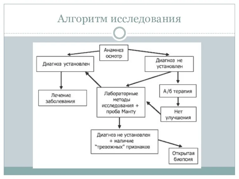 Алгоритм исследования