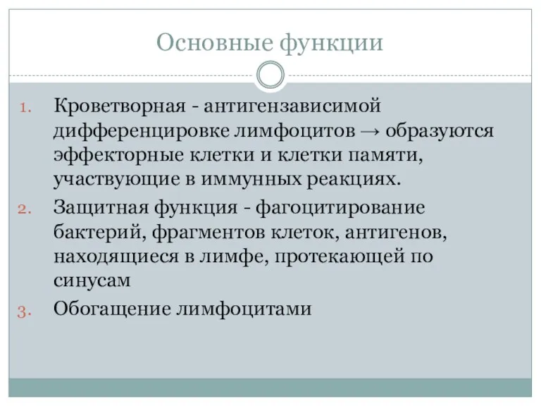 Основные функции Кроветворная - антигензависимой дифференцировке лимфоцитов → образуются эффекторные