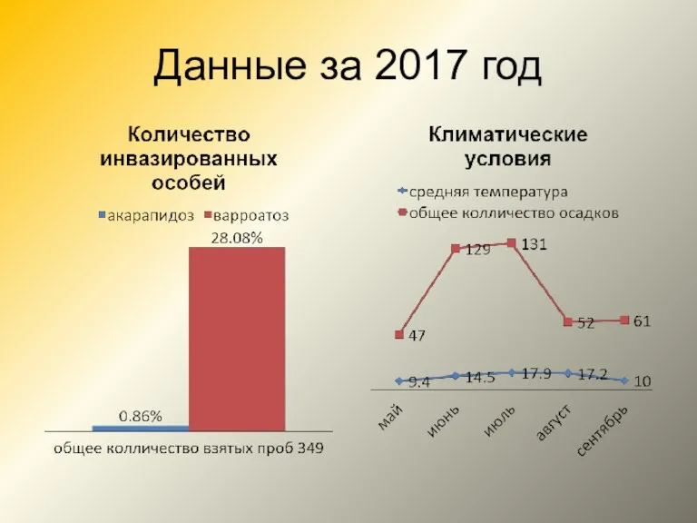 Данные за 2017 год