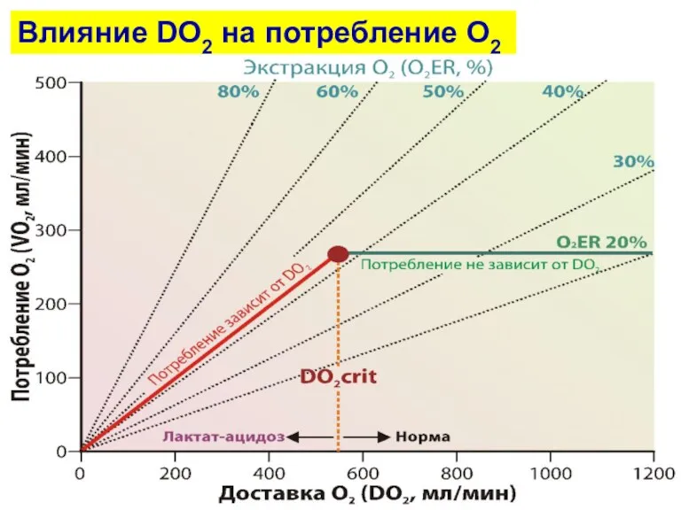 Влияние DO2 на потребление О2