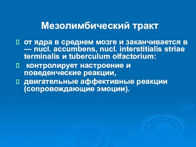 Мезолимбический тракт от ядра в среднем мозге и заканчивается в — nucl. accumbens,