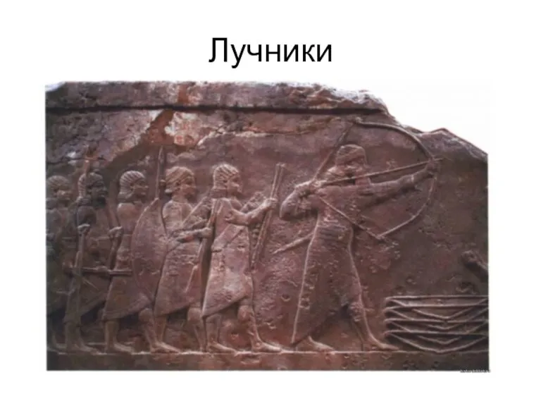 Лучники