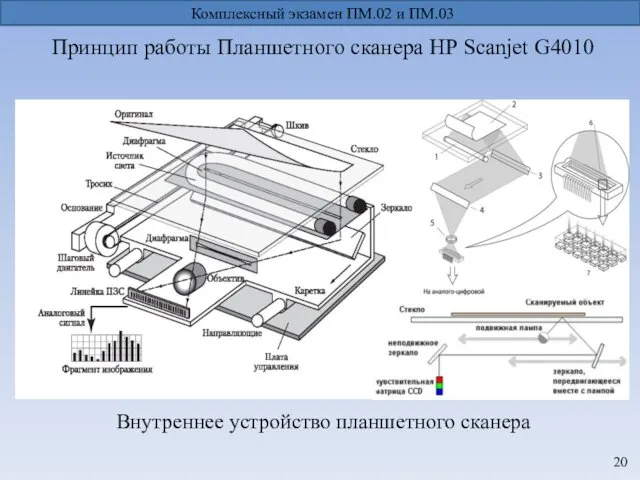 Принцип работы Планшетного сканера НР Scanjet G4010 Комплексный экзамен ПМ.02 и ПМ.03 Внутреннее устройство планшетного сканера