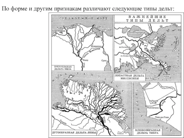 По форме и другим признакам различают следующие типы дельт: