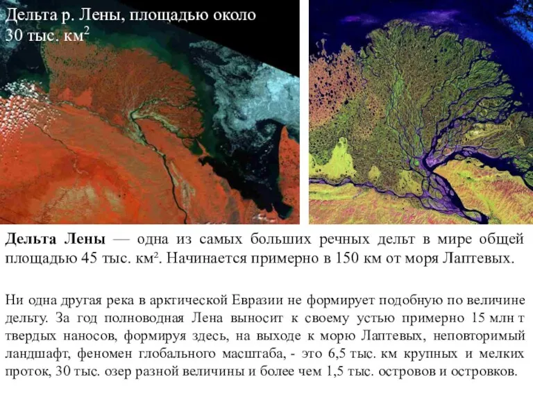 Дельта Лены — одна из самых больших речных дельт в