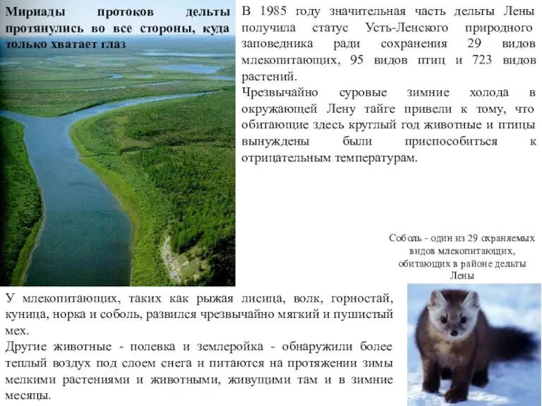 Мириады протоков дельты протянулись во все стороны, куда только хватает