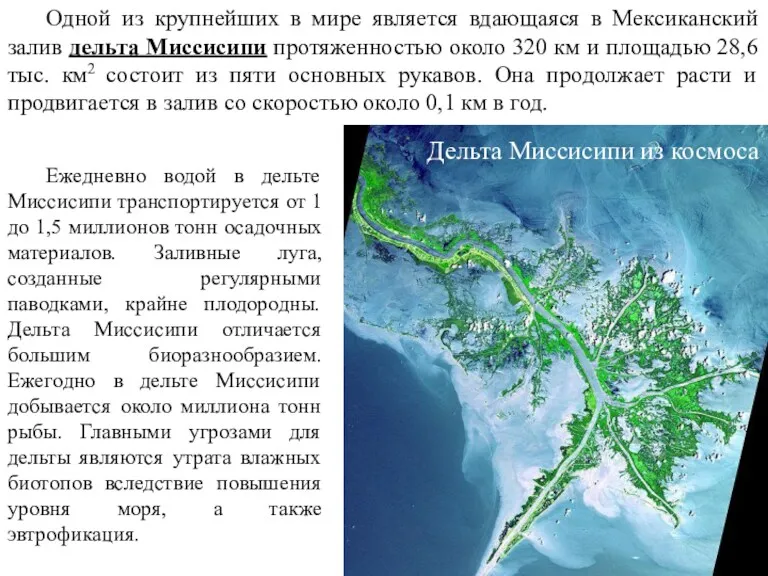 Одной из крупнейших в мире является вдающаяся в Мексиканский залив