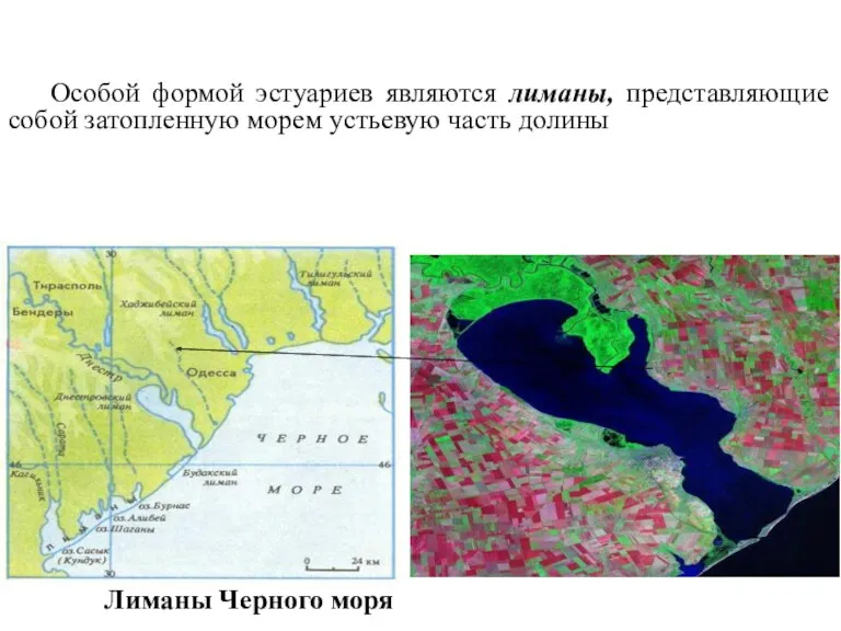 Особой формой эстуариев являются лиманы, представляющие собой затопленную морем устьевую часть долины