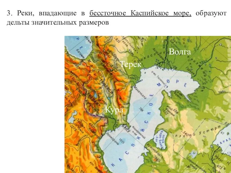 3. Реки, впадающие в бессточное Каспийское море, образуют дельты значительных размеров Волга Терек Кура