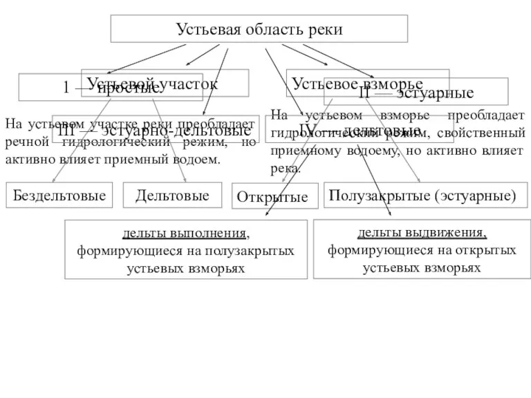 Устьевая область реки Устьевой участок Устьевое взморье На устьевом участке