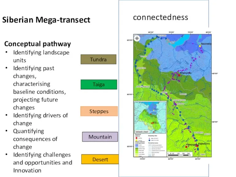 Siberian Mega-transect Conceptual pathway Identifying landscape units Identifying past changes,