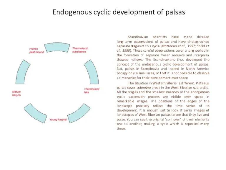 Endogenous cyclic development of palsas Scandinavian scientists have made detailed