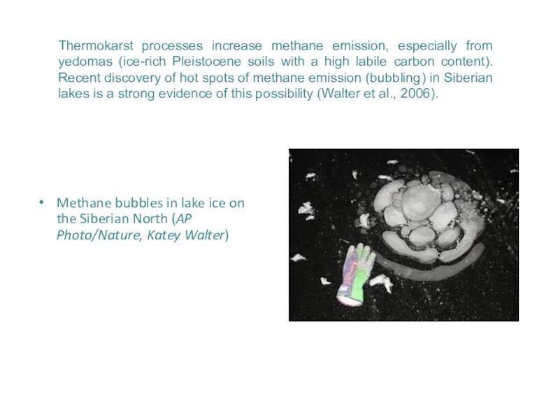 Thermokarst processes increase methane emission, especially from yedomas (ice-rich Pleistocene