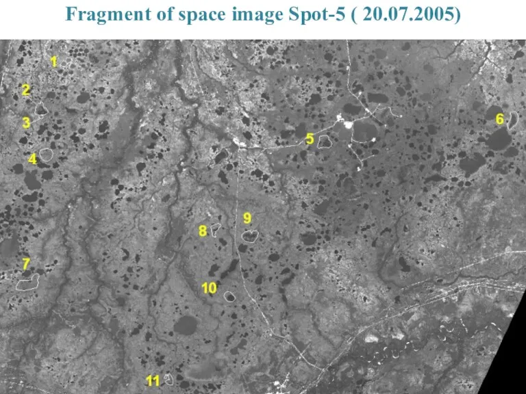 Fragment of space image Spot-5 ( 20.07.2005)