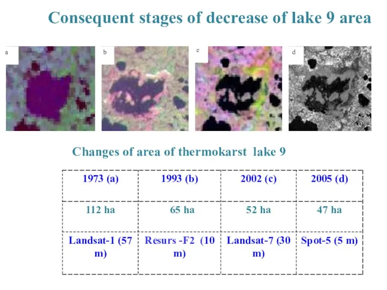 Consequent stages of decrease of lake 9 area Changes of area of thermokarst lake 9