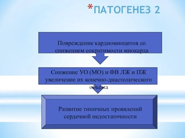 ПАТОГЕНЕЗ 2