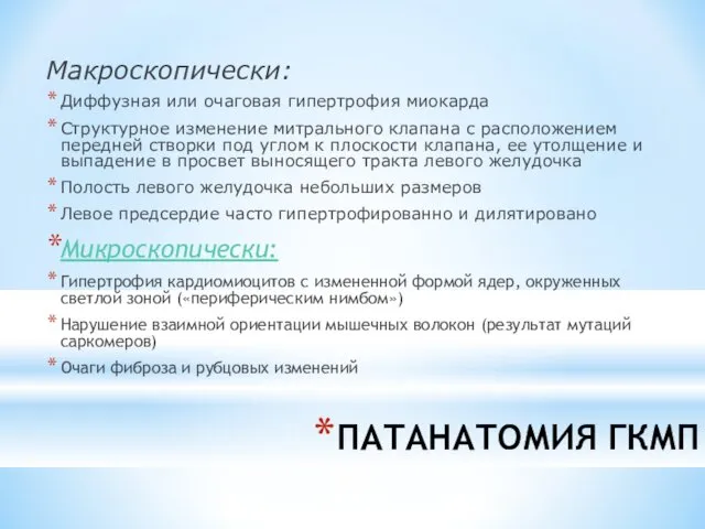 ПАТАНАТОМИЯ ГКМП Макроскопически: Диффузная или очаговая гипертрофия миокарда Структурное изменение