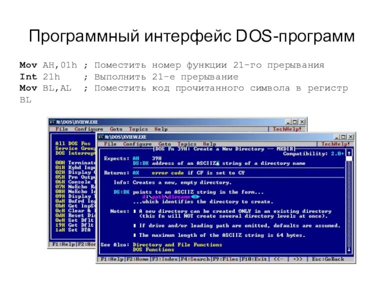 Программный интерфейс DOS-программ Mov AH,01h ; Поместить номер функции 21-го