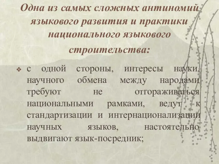 Одна из самых сложных антиномий языкового развития и практики национального