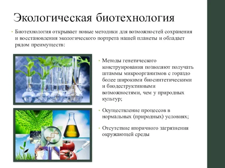 Экологическая биотехнология Биотехнология открывает новые методики для возможностей сохранения и