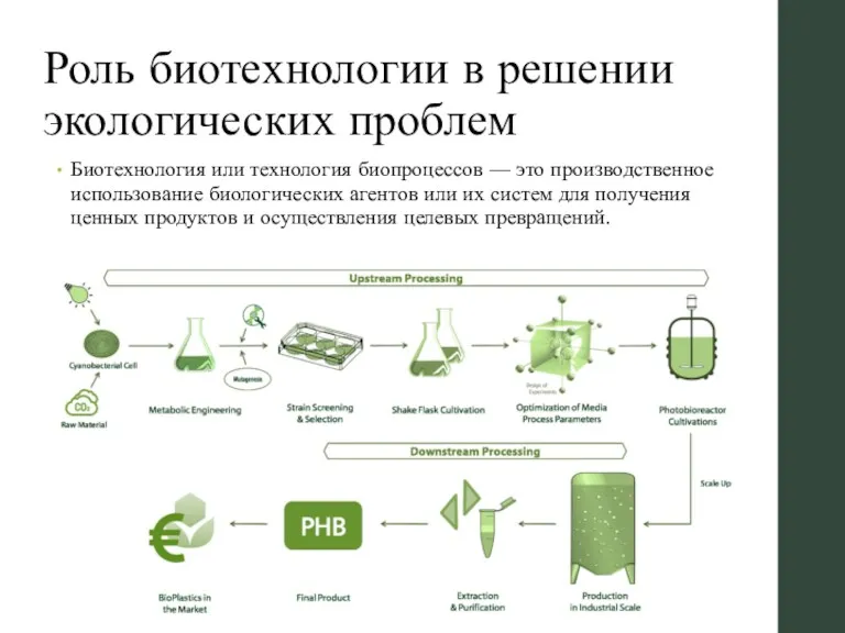 Роль биотехнологии в решении экологических проблем Биотехнология или технология биопроцессов