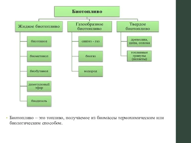 Биотопливо – это топливо, получаемое из биомассы термохимическим или биологическим способом.