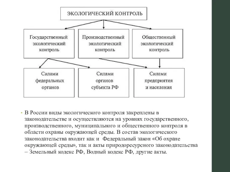 В России виды экологического контроля закреплены в законодательстве и осуществляются