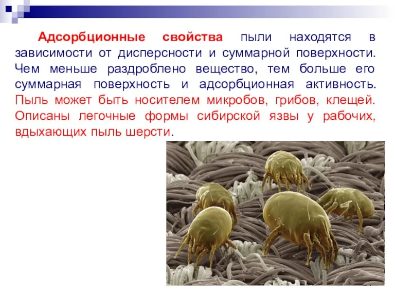 Адсорбционные свойства пыли находятся в зависимости от дисперсности и суммарной