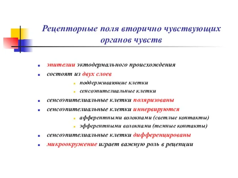 Рецепторные поля вторично чувствующих органов чувств эпителии эктодермального происхождения состоят