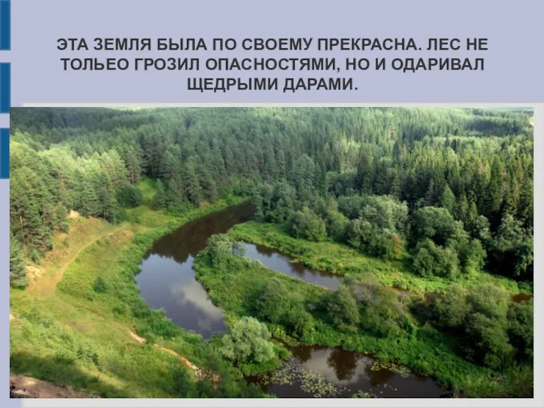 ЭТА ЗЕМЛЯ БЫЛА ПО СВОЕМУ ПРЕКРАСНА. ЛЕС НЕ ТОЛЬЕО ГРОЗИЛ ОПАСНОСТЯМИ, НО И ОДАРИВАЛ ЩЕДРЫМИ ДАРАМИ.