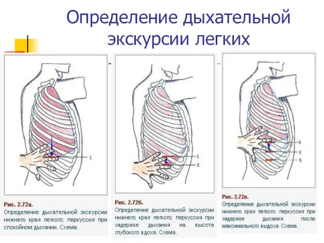 Определение дыхательной экскурсии легких