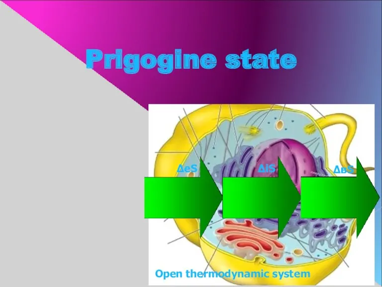 Prigogine state ΔiS ΔвS ΔeS Open thermodynamic system