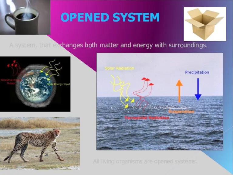 OPENED SYSTEM A system, that exchanges both matter and energy