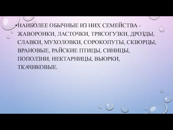 НАИБОЛЕЕ ОБЫЧНЫЕ ИЗ НИХ СЕМЕЙСТВА - ЖАВОРОНКИ, ЛАСТОЧКИ, ТРЯСОГУЗКИ, ДРОЗДЫ,